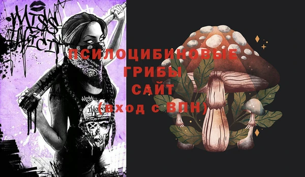 меф Алексин