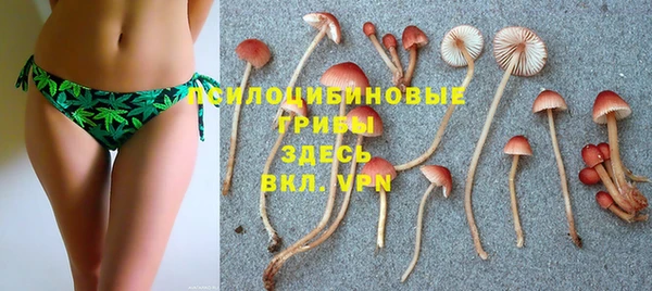прущий лед Армянск