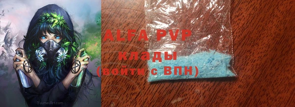 стафф Арсеньев