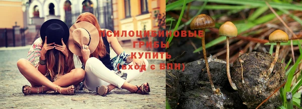 меф Алексин