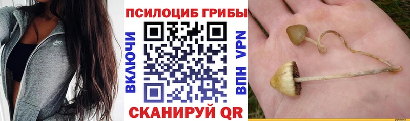 нарко площадка как зайти  Хотьково  Псилоцибиновые грибы прущие грибы  где продают наркотики 